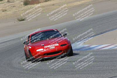 media/Nov-04-2023-CalClub SCCA (Sat) [[cb7353a443]]/Group 1/Cotton Corners (Race)/